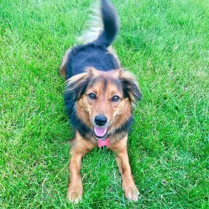 Meet your Posher, Marlene